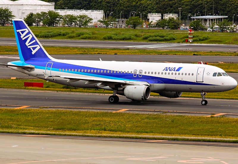 ANA plane in Japan copyright lkarasawa
