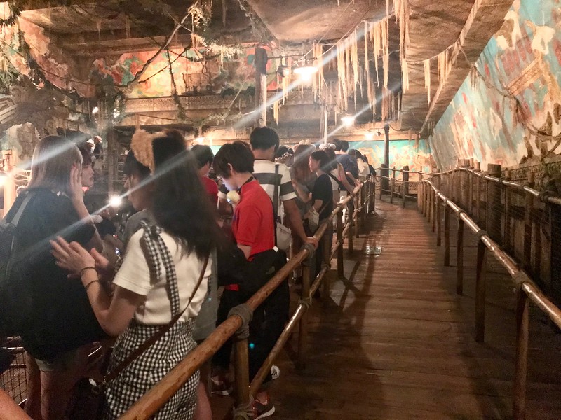 Skipping the lines with a FastPass.