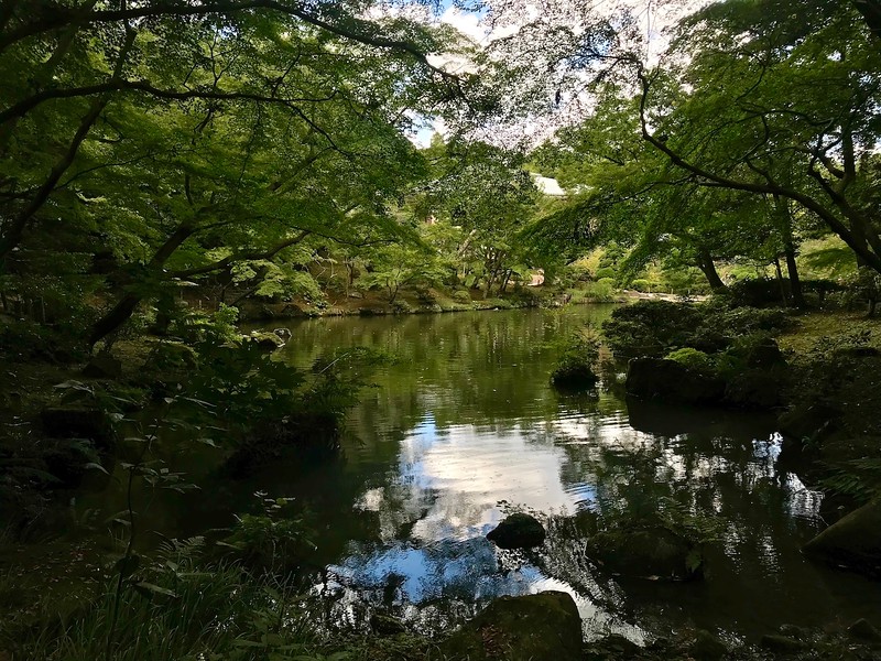 A quiet corner in the park.