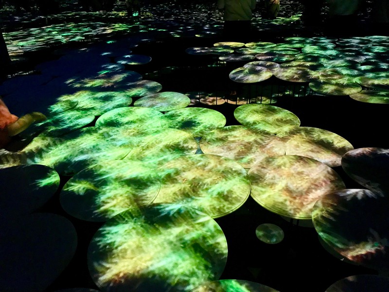 In a ‘paddy field’ with digitally-rendered maple leaves moving across.