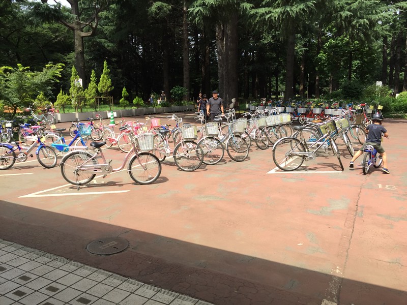Bicycle rentals