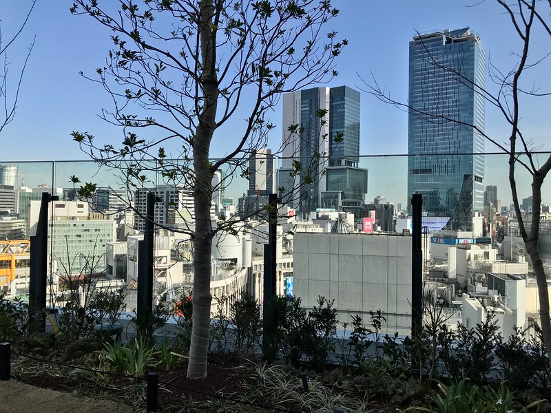 View from Shibuya Parco rooftop - image © Florentyna Leow