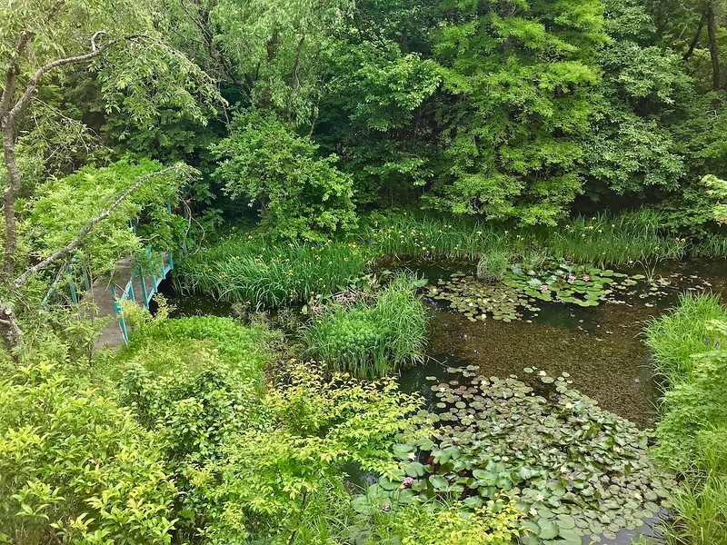 A view of the garden from above.