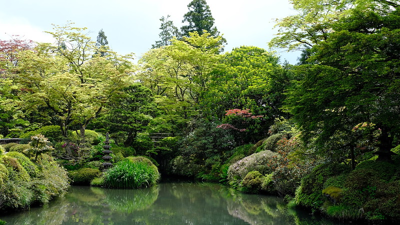 A view inside the garden.