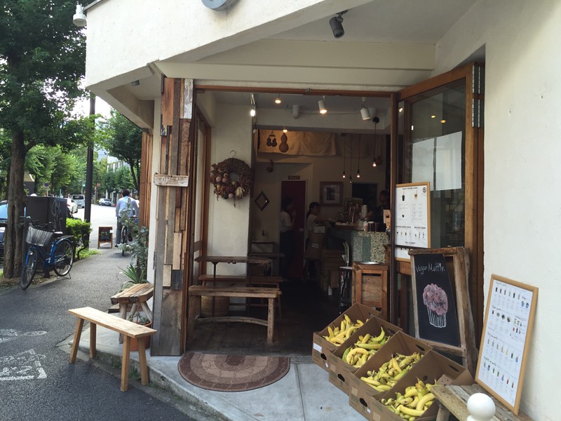 Driftwood benches at the entrance