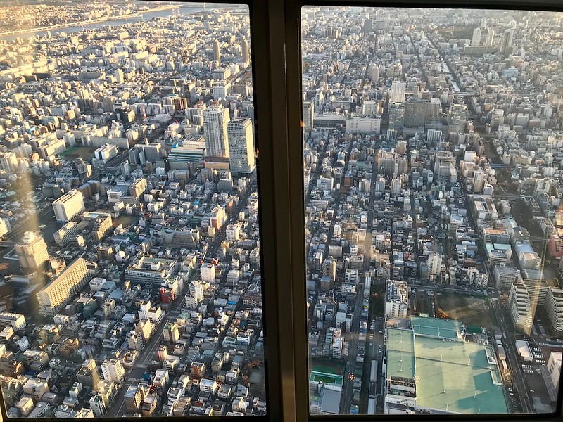 Tokyo's topography through the glass.