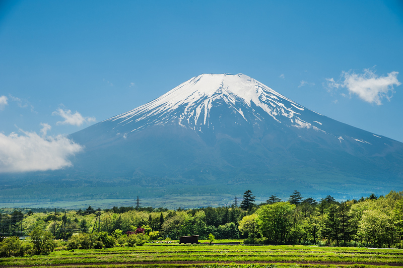 Mt Fuji in summer. Editorial credit: Srinil / Shutterstock.com