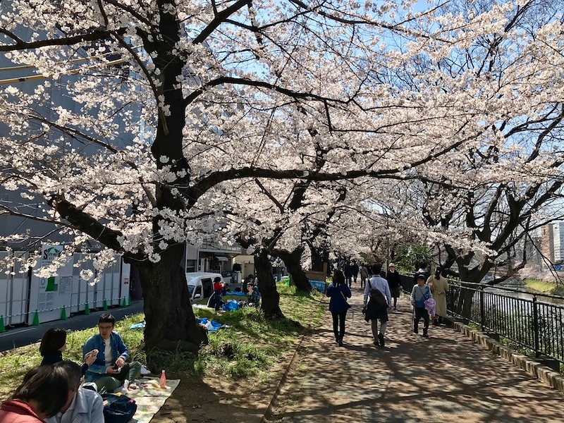 The path through Sotobori Koen.
