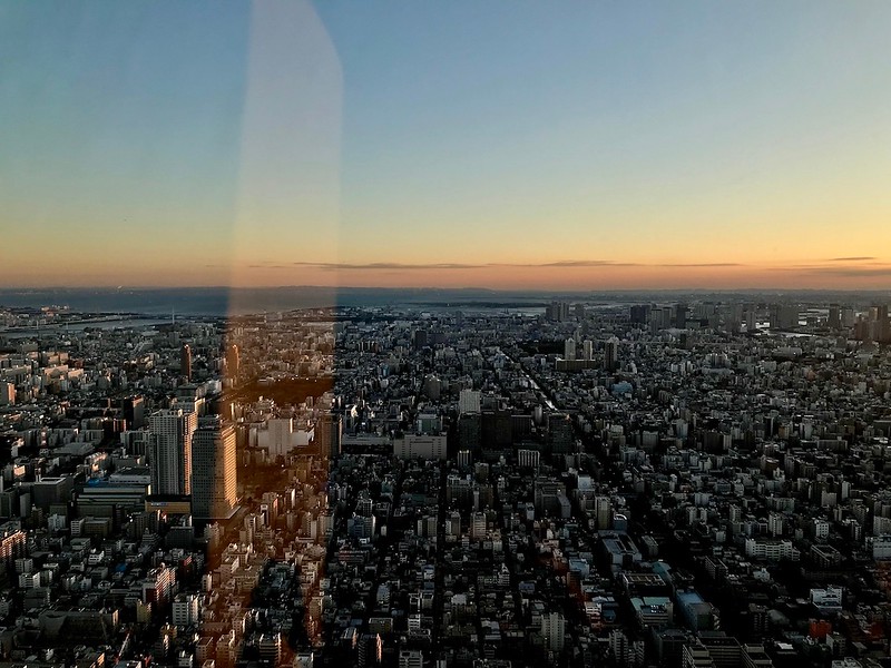 The sky fading pink into a winter sunset over Tokyo.