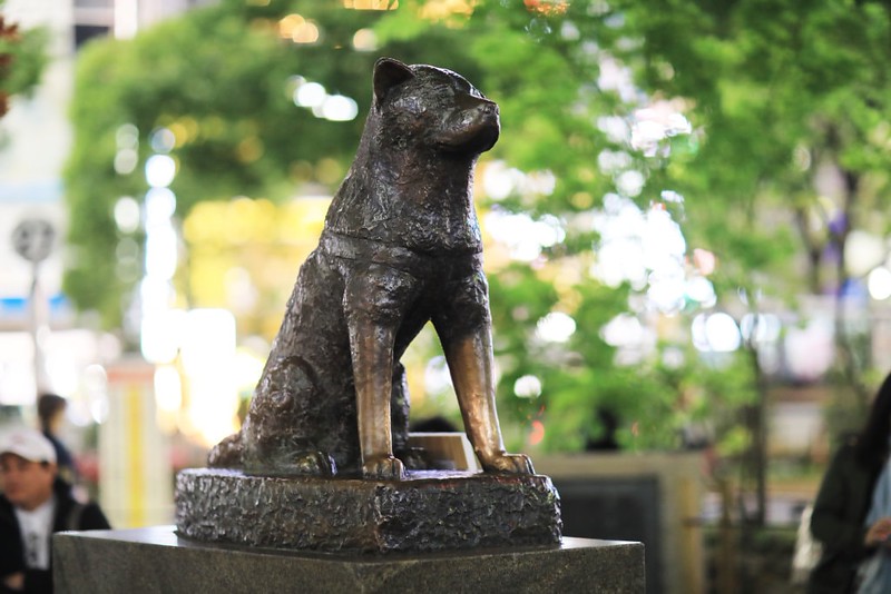 Close up of the Hachiko loyalty dog statue in Tokyo with a blurred background of tourists and green foliage