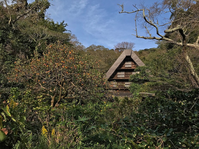 The thatched roof nestled in among the woods.