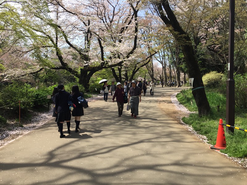 Elderly and youthful strollers