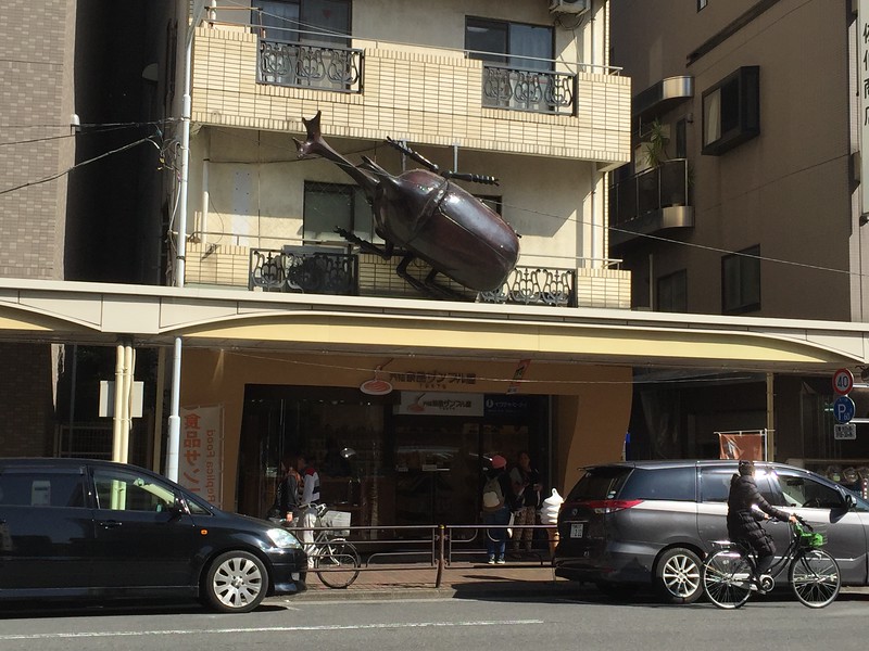 Monster rhinoceros beetle