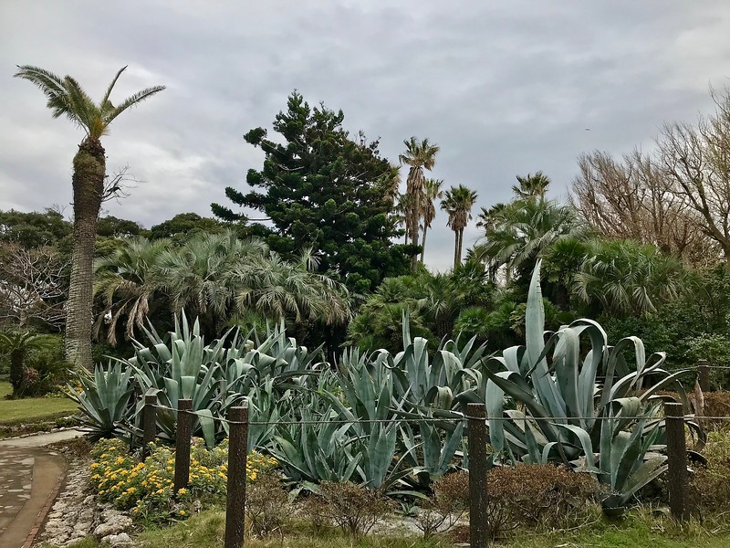 Walking around the garden.