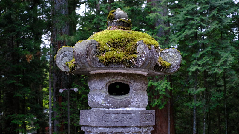 A moss-capped stone lantern at Toshogu Shrine.