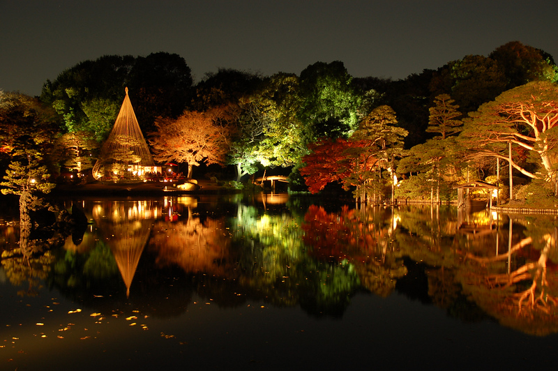 Autumn Momiji Lightup at Rikugien Tokyo