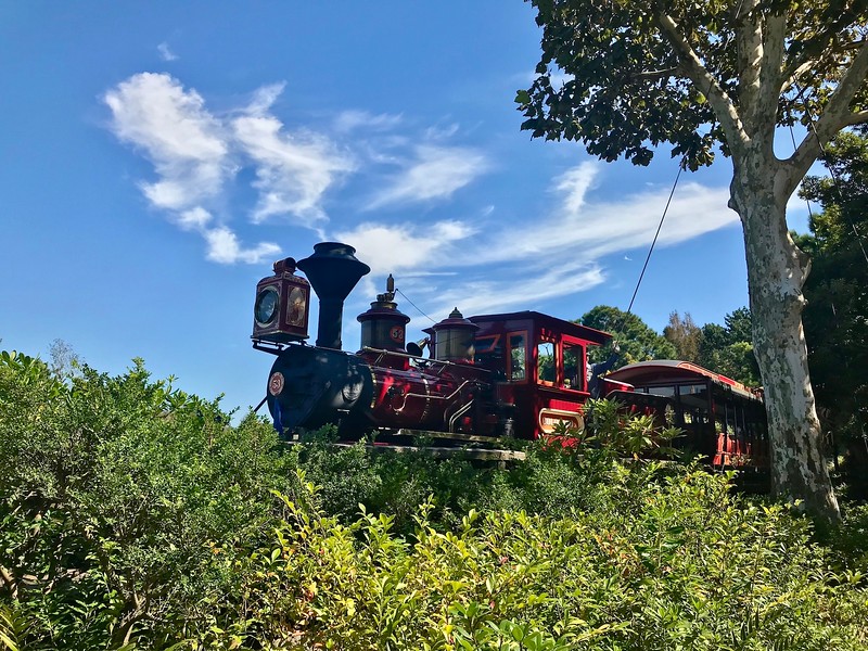The steam train passing through Critter Country