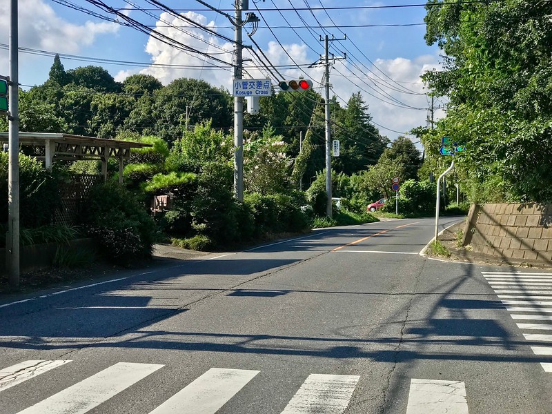 Cross and turn right here.