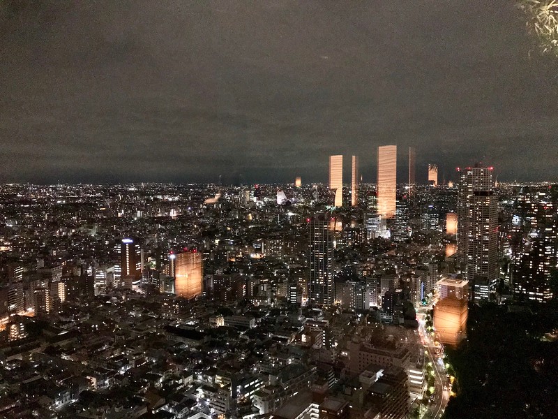 New York Bar - image © Florentyna Leow