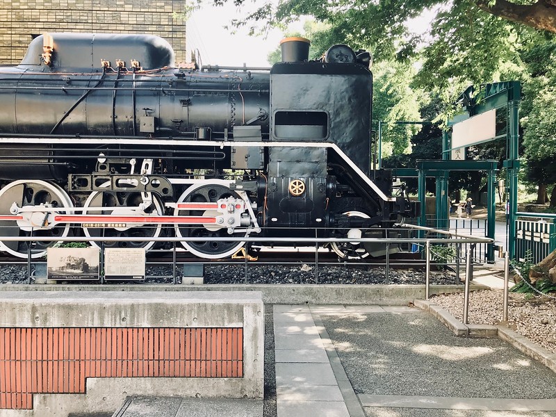 National Museum of Nature and Science