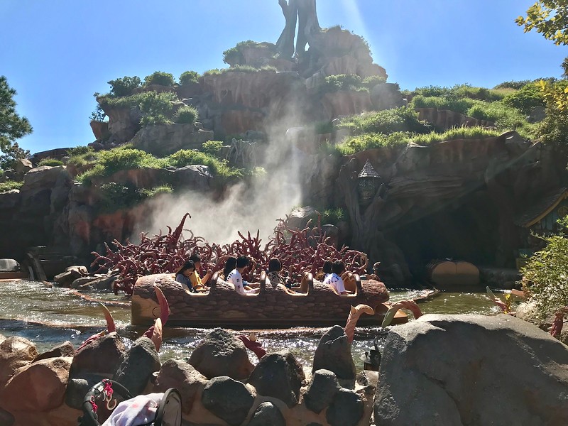 The Splash Mountain ride.