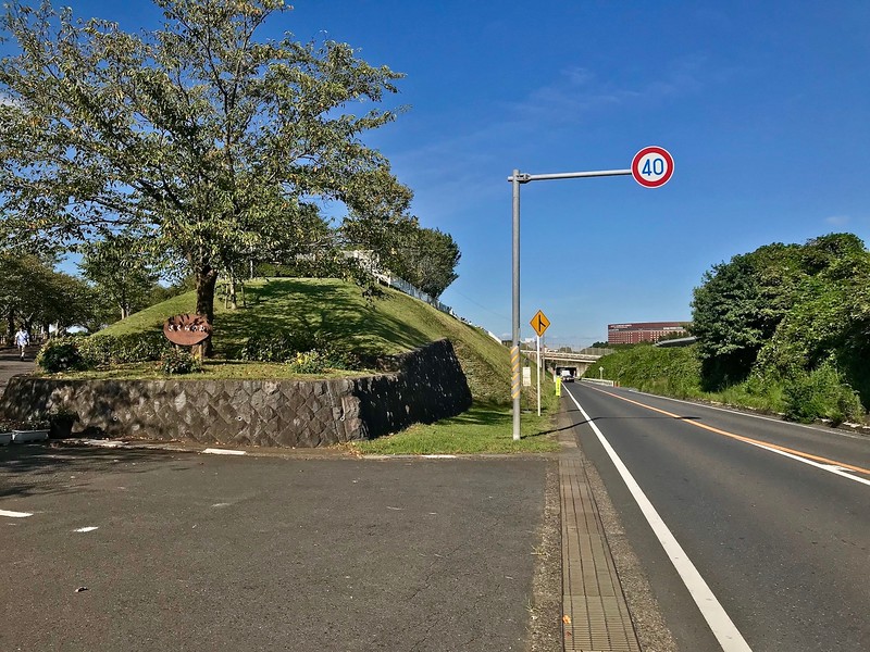 The bus stop is located near the park entrance.