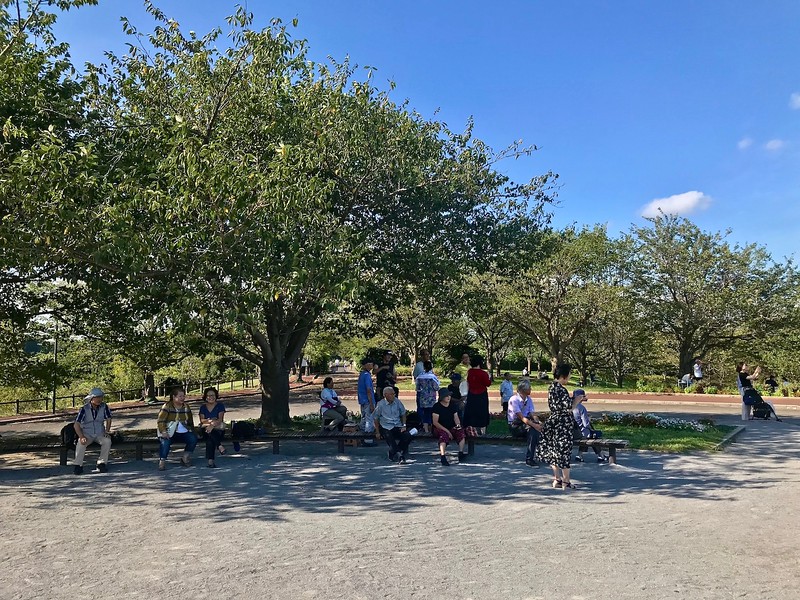 Watching planes from the shade of these trees.