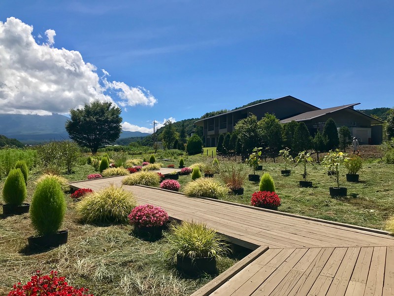 Along the Hana Kaido, or Flower Highway.