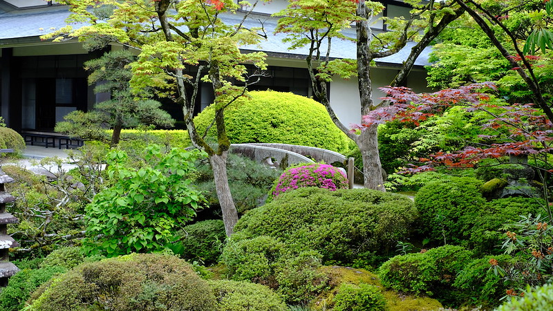 Visiting Shoyoen in spring.