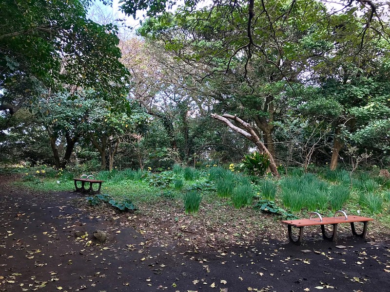 Far from the madding crowd.