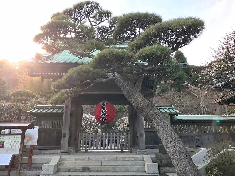 The lantern in front of Hasedera Temple.