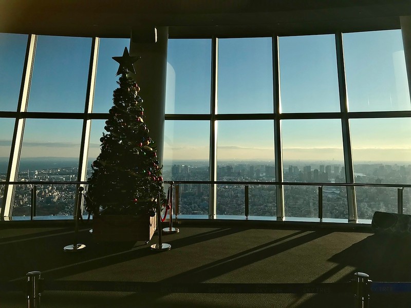 Christmas Tree on the Tembo Deck.