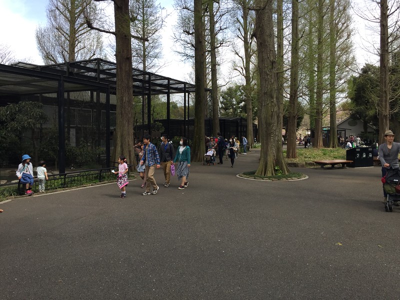 Zoo grounds