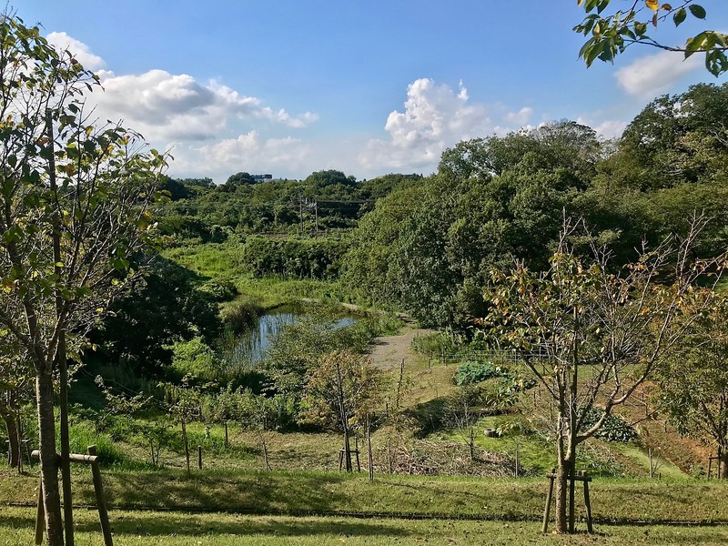 Part of Sakuranoyama Park.