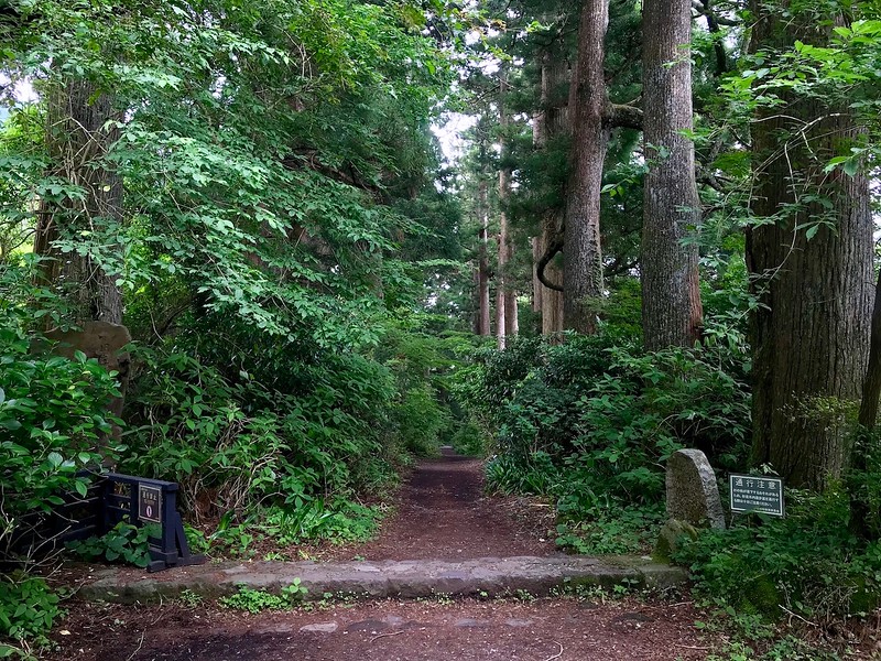At the start of the Old Tokaido Highway Cedar Avenue.