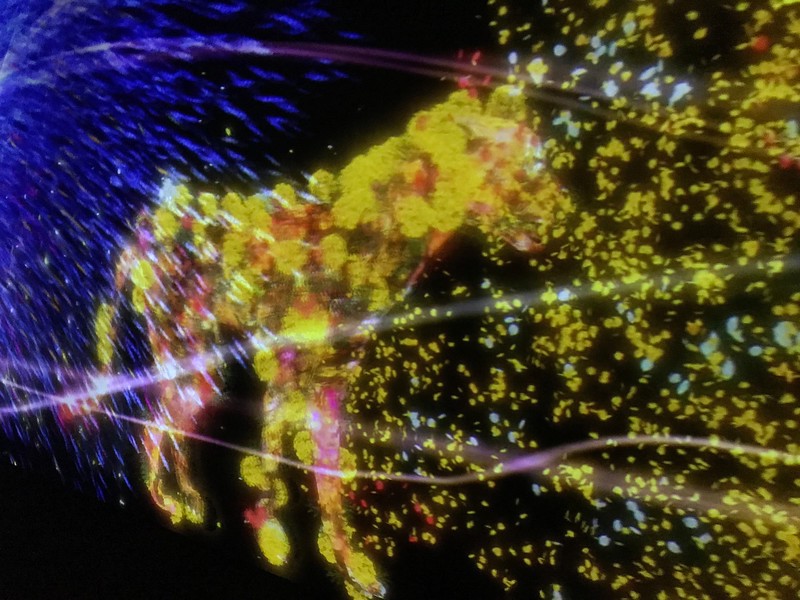 A creature made of flowers stalking along the wall.