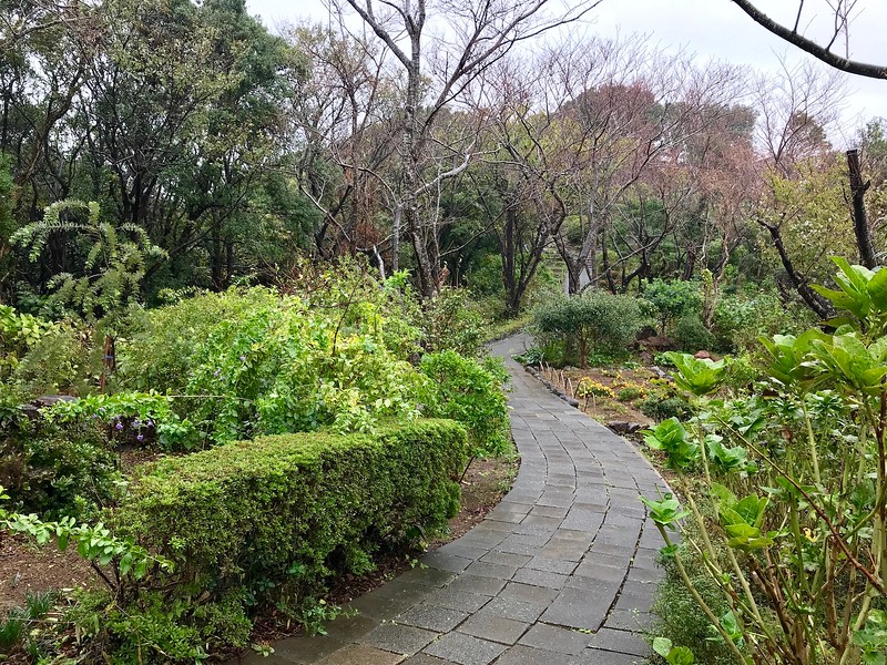 Strolling through the garden.