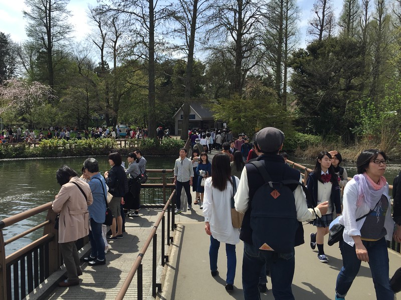 Crossing Nanai Bridge