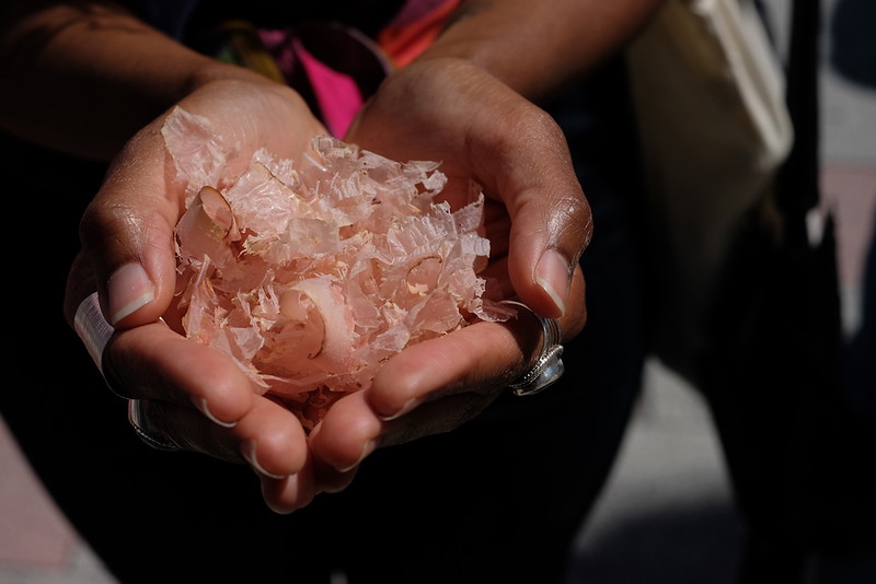 Katsuobushi samples from Isekei.