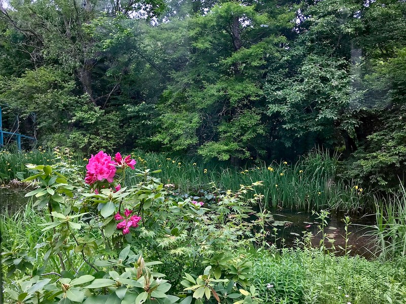 A view of the museum garden from the inside.