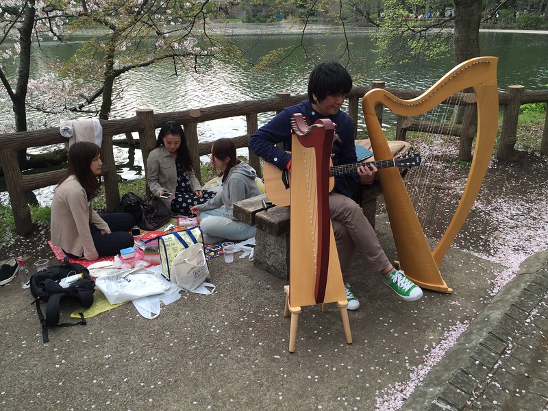 Busker with stringed instruments