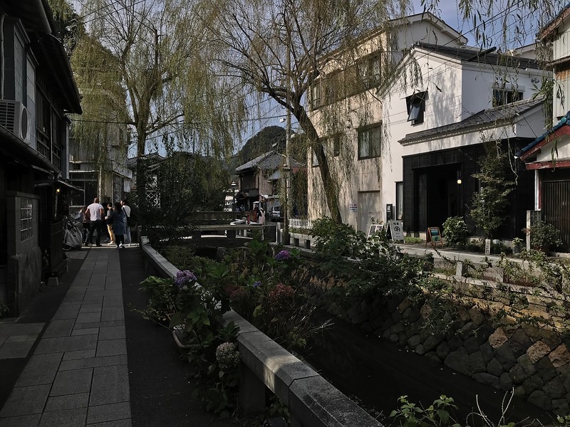 Willow trees along Perry Road.