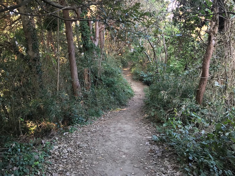 A gentle stretch along the trail.