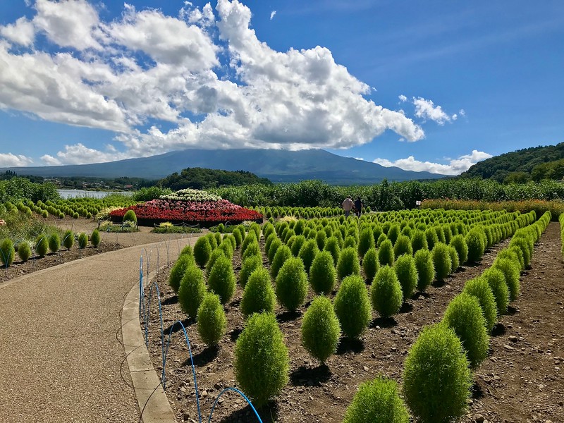 The gardens at the Kawaguchiko Natural Living Center.