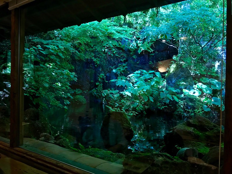 View from the tea room.