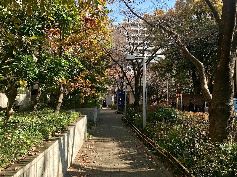 On Keyakizaka Street.