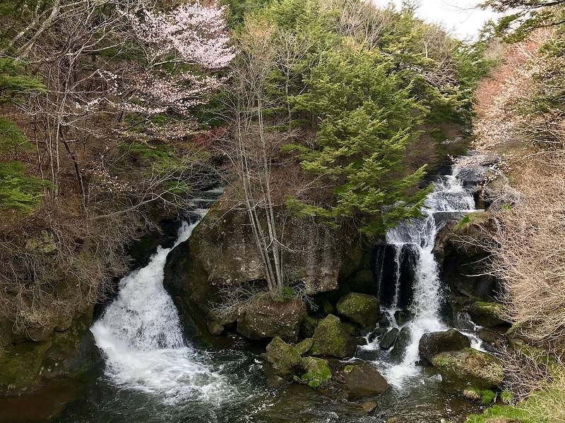 Ryuzu Falls in spring - there are still cherry blossoms around in May!