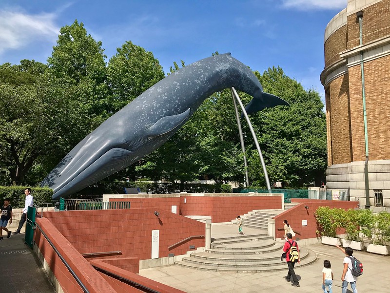 National Museum of Nature and Science