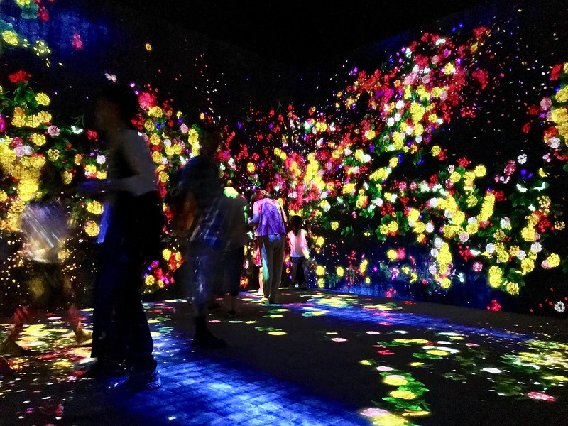 Flowers bloom and wither away on walls in real time.