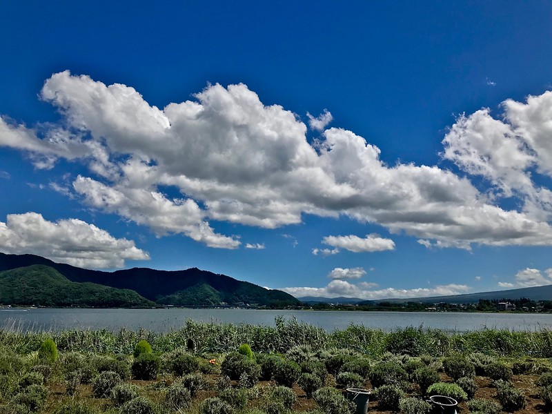 View of the lake from the Kawaguchiko Natural Living Center.
